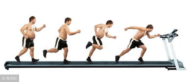 如何从180斤瘦到130斤:科学瘦身,健康减重,从180斤到130斤的实用指南 如何从180斤瘦到130斤:科学瘦身,健康减重,从180斤到130斤的实用指南