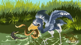 梦见蛇飞起来扑向我攻击我:噩梦解析,梦见蛇飞起来扑向我攻击我,背后隐藏的心理密码 梦见蛇飞起来扑向我攻击我:噩梦解析,梦见蛇飞起来扑向我攻击我,背后隐藏的心理密码