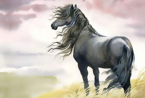 1990年5月属马是什么命:1990年5月属马人的命运解析,性格特质与人生机遇全指南 1990年5月属马是什么命:1990年5月属马人的命运解析,性格特质与人生机遇全指南