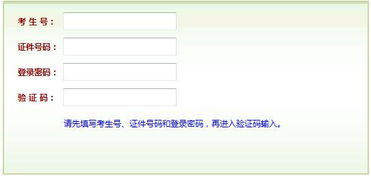 河南高考报名入口官网(河南高考报名入口官网查询) 河南高考报名入口官网(河南高考报名入口官网查询)