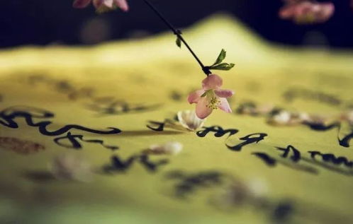 金牛座女生漂亮程度：金牛座女生，被低估的人间富贵花美学，如何用土象特质点亮高级感？