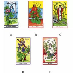 aiml塔罗牌:AI与塔罗牌的神秘邂逅,探索AIML技术如何重塑神秘学领域 aiml塔罗牌:AI与塔罗牌的神秘邂逅,探索AIML技术如何重塑神秘学领域