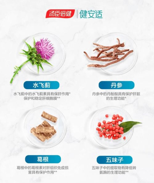 十大养肝护肝中药材:守护肝脏健康,这十大中药材不容错过! 十大养肝护肝中药材:守护肝脏健康,这十大中药材不容错过!