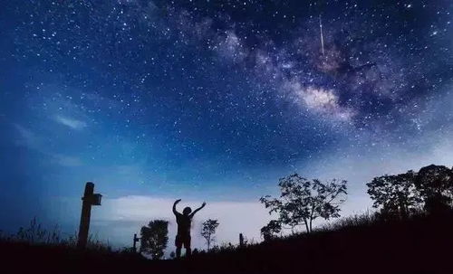 巨蟹座流星雨图片:巨蟹座流星雨,一场天穹上的璀璨光影盛宴—探秘流星雨摄影艺术与科学之美 巨蟹座流星雨图片:巨蟹座流星雨,一场天穹上的璀璨光影盛宴—探秘流星雨摄影艺术与科学之美