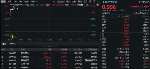 新动态,大提振!昨夜,A50猛拉! 新动态,大提振!昨夜,A50猛拉!