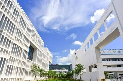 西安电力高等专科学校(西安电力高等专科学校2025录取线是多少) 西安电力高等专科学校(西安电力高等专科学校2025录取线是多少)