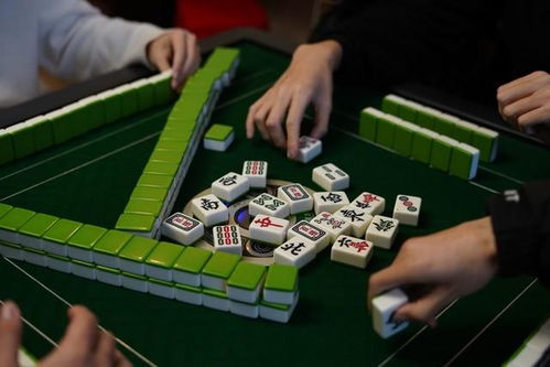 属鸡今日打麻将运势:属鸡今日打麻将运势解析,吉时吉位与避坑指南 属鸡今日打麻将运势:属鸡今日打麻将运势解析,吉时吉位与避坑指南