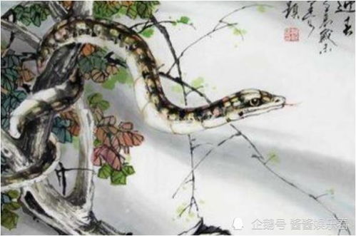 属蛇最难熬的是哪一年：属蛇人一生中最难熬的三个年份，命理启示与现实应对