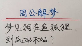 周公解梦查询大全梦见掉牙：梦见掉牙，周公解梦与现代心理的双重解析