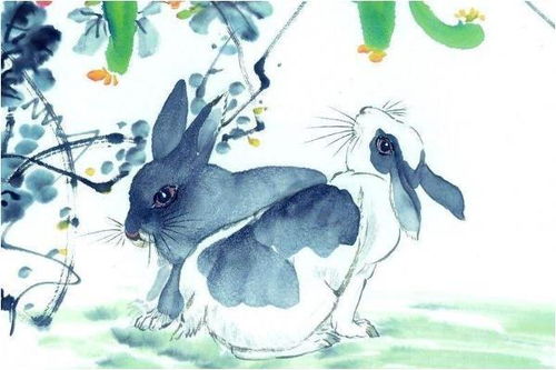 1987年兔37岁后财运：1987年属兔人37岁后运势解析，五行木旺年里的财富机遇与破局之道
