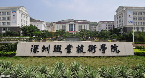 深圳职业技术学院有哪些专业(深圳职业技术学院有哪些专业是文科生的优势专业?) 深圳职业技术学院有哪些专业(深圳职业技术学院有哪些专业是文科生的优势专业?)
