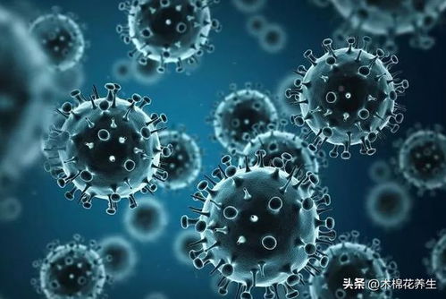 连花清瘟对甲流有用么:连花清瘟对甲流有用吗?权威解读来了! 连花清瘟对甲流有用么:连花清瘟对甲流有用吗?权威解读来了!