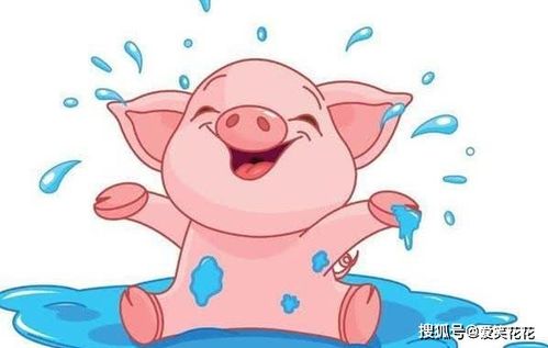 属猪想要姻缘怎么办才好:2025年属猪人提升姻缘的三大关键,助你遇见对的人! 属猪想要姻缘怎么办才好:2025年属猪人提升姻缘的三大关键,助你遇见对的人!