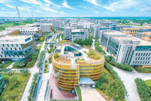 中国医药平台官网:中国医药平台官网,连接健康未来的新桥梁 中国医药平台官网:中国医药平台官网,连接健康未来的新桥梁