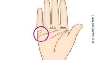 手相看姻缘何时出现婚姻:手相看姻缘,婚姻何时出现的神秘解读 手相看姻缘何时出现婚姻:手相看姻缘,婚姻何时出现的神秘解读