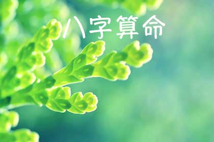 生辰八字命盘查询免费算命:免费生辰八字命盘查询指南,科学解读命理与人生方向 生辰八字命盘查询免费算命:免费生辰八字命盘查询指南,科学解读命理与人生方向