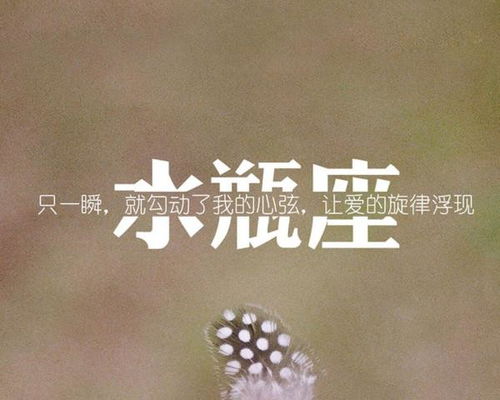 能让水瓶男着迷的女人:让水瓶男心动的6个核心特质,理性灵魂与诗意灵魂的完美共振 能让水瓶男着迷的女人:让水瓶男心动的6个核心特质,理性灵魂与诗意灵魂的完美共振