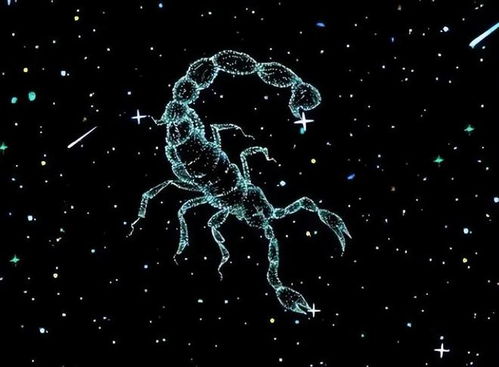 把天蝎女当宝贝的星座男：把天蝎女当宝贝的星座男，从星座性格到极致宠爱的相处法则