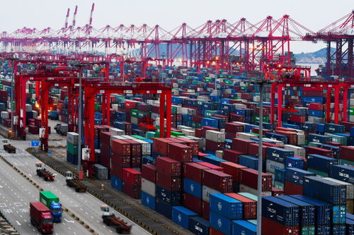 关税波动影响预期，中国出口集装箱运输市场继续反弹