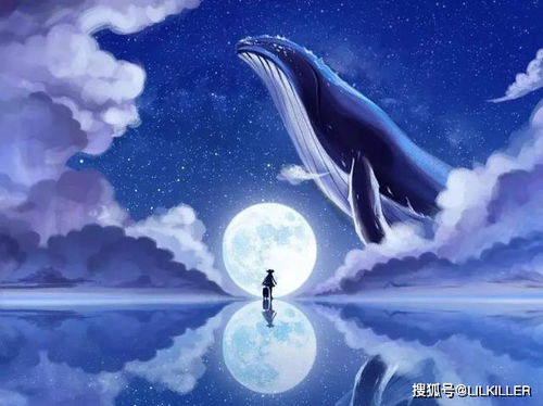 土象星座之王:土象星座之王,摩羯座如何以稳固根基成就人生巅峰 土象星座之王:土象星座之王,摩羯座如何以稳固根基成就人生巅峰