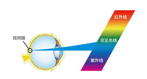 怎么让视力慢慢恢复:守护明亮视界,科学方法助你逐步改善视力 怎么让视力慢慢恢复:守护明亮视界,科学方法助你逐步改善视力