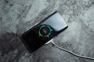 关于yy8848青苹果影私人视院的信息 关于yy8848青苹果影私人视院的信息