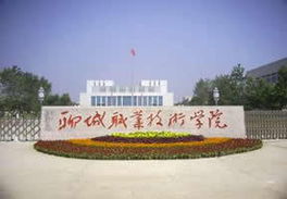 聊城职业技术学院(聊城职业技术学院网络教学平台) 聊城职业技术学院(聊城职业技术学院网络教学平台)