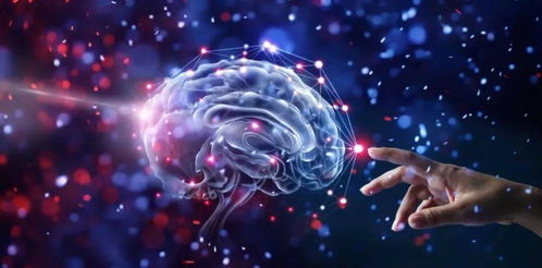 脑子不正常的星座:十二星座脑回路大赏,谁在银河系搞行为艺术? 脑子不正常的星座:十二星座脑回路大赏,谁在银河系搞行为艺术?