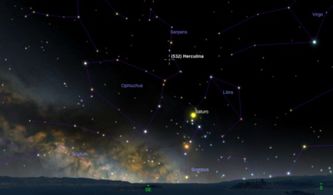 脑子不正常的星座:十二星座脑回路大赏,谁在银河系搞行为艺术? 脑子不正常的星座:十二星座脑回路大赏,谁在银河系搞行为艺术?