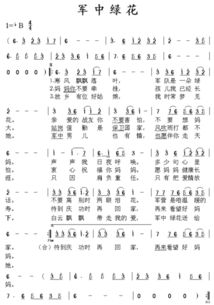 军中绿花歌词（军中绿花歌词原唱）