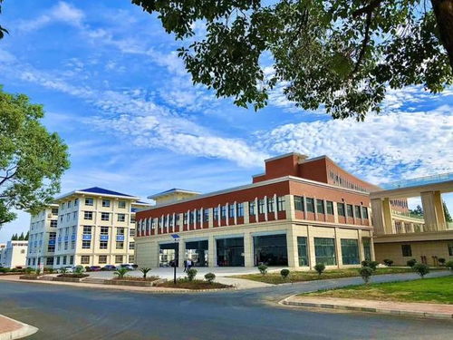 黄冈职业技术学校好吗（湖北最不建议去的大专）