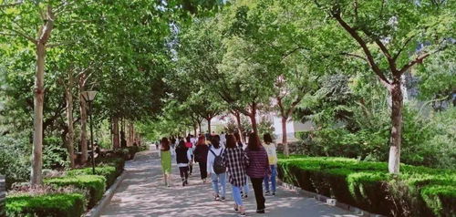 山东专科小清华（山东专科小清华是哪几个）