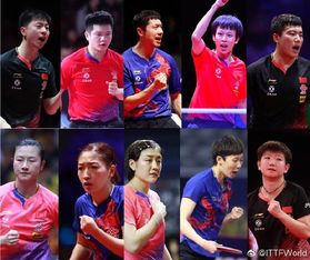 正在直播乒乓赛事(正在直播乒乓赛事视频直播放ccTV5) 正在直播乒乓赛事(正在直播乒乓赛事视频直播放ccTV5)