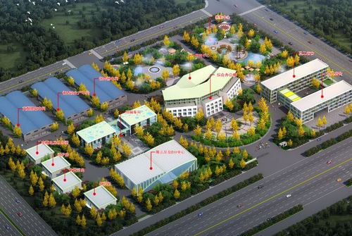 中草药种植项目可行性报告:中草药种植项目可行性研究报告 中草药种植项目可行性报告:中草药种植项目可行性研究报告