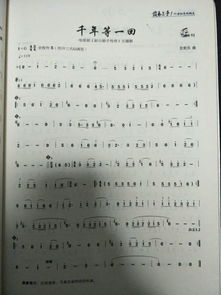 西游记开头主题曲简谱（千年等一回简谱）