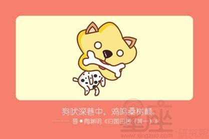 70属狗人的灾难年龄：70属狗人必知的灾难年龄，命理警示与破局之道