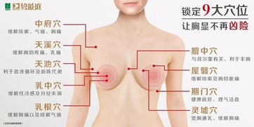 让乳房增大的方法:健康美丽新追求,科学认识与探讨乳房增大方法 让乳房增大的方法:健康美丽新追求,科学认识与探讨乳房增大方法