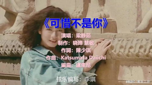 可惜不是你歌词（梁静茹可惜不是你歌词）