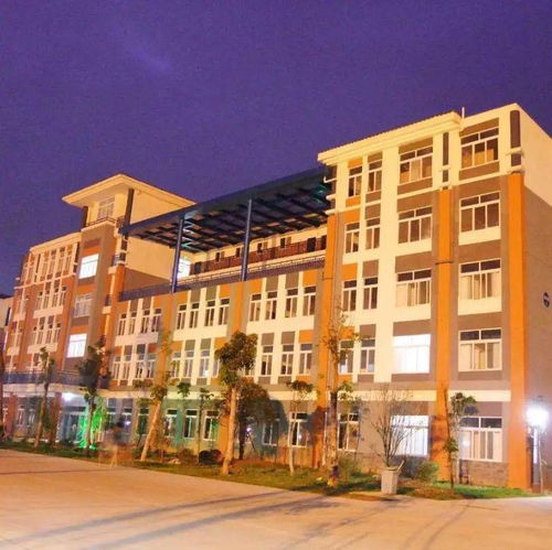 四川即将升为本科的专科院校(四川可能升为本科专科学校) 四川即将升为本科的专科院校(四川可能升为本科专科学校)