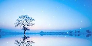 轻音乐舒缓放松（道教轻音乐舒缓放松）