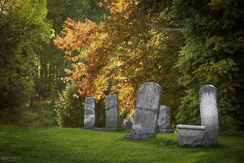 做梦梦见坟墓,探索梦境背后的深层含义与心理解析 做梦梦见坟墓,探索梦境背后的深层含义与心理解析