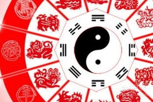 93年属鸡晚婚是多晚：93年属鸡晚婚宜迟不宜早？命理师解析最佳婚龄与人生机遇