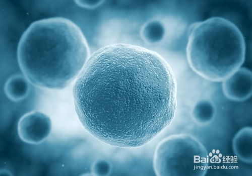 甘草酸苷银屑病多久见效:甘草酸苷治疗银屑病多久见效?时间范围与影响因素全解析 甘草酸苷银屑病多久见效:甘草酸苷治疗银屑病多久见效?时间范围与影响因素全解析