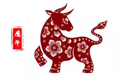 十二生肖今日每日运势：十二生肖今日运势全解析，吉凶相伴，宜忌分明（附今日宜忌指南）