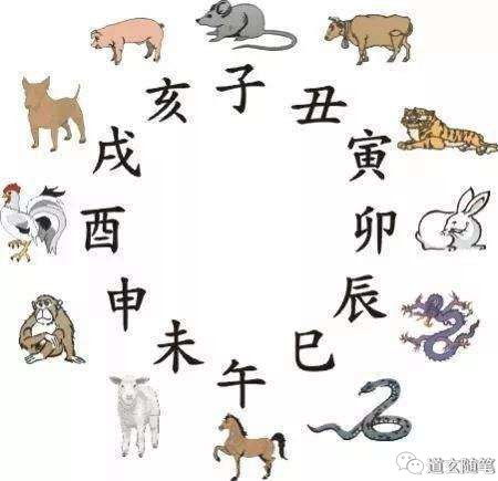 十二生肖今日每日运势：十二生肖今日运势全解析，吉凶相伴，宜忌分明（附今日宜忌指南）