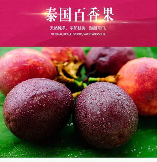 百香果:百香果,热带风情的水果之王 百香果:百香果,热带风情的水果之王