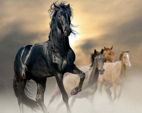 94年生肖和什么生肖最配:94年出生的属马人,最配这三大生肖,姻缘天成,事业互补! 94年生肖和什么生肖最配:94年出生的属马人,最配这三大生肖,姻缘天成,事业互补!