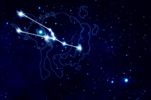 金牛座的男生是什么样的人:金牛座的男生,用土地滋养灵魂的务实诗人 金牛座的男生是什么样的人:金牛座的男生,用土地滋养灵魂的务实诗人