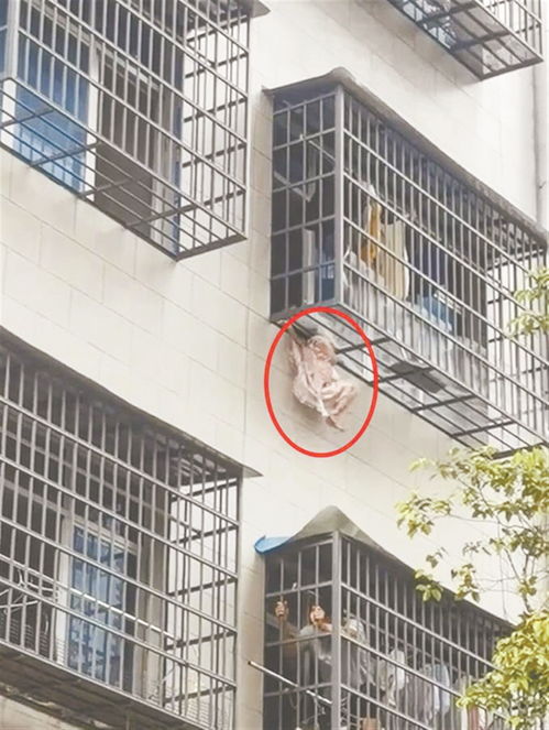 卢浮宫盗贼破窗进入 窗外有起重机 卢浮宫盗贼破窗进入 窗外有起重机