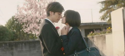 樱花影院高清电影好看的电视剧(樱花影院高清电影好看的电视剧免费观看) 樱花影院高清电影好看的电视剧(樱花影院高清电影好看的电视剧免费观看)